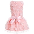 thumbnail image 1 of Laifug Robe pour Chien Imprimé Chiot Robe de Princesse Mignonne pour Fête (Rose, m), 1 of 9