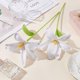 thumbnail image 5 of 2 piezas de flores artificiales de lirio de ganchillo hechas a mano, ramo de flores de lirio de algodón tejido con alambre de hierro, ramo de flores falsas de lirio blanco de ganchillo., 5 of 6