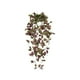thumbnail image 2 of Uuiauoio Fake Hanging Plants Vines for Room Decor, Artificial Garlands for Home Bedroom Living Aesthetic Kitchen Office Wall Patio Bookshelf,Indoor,Outdoor Farmhouse Decorations(No flowerpot), 2 of 9