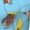 Large, variant on Curious Monkey Ge-orge Kids' Hoodie 3d Print Sweatshirt Soft Pullover Hooded With Big Pockets For Boys Or Girls Medium