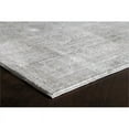 thumbnail image 2 of Rugs America Asteria Collection grey AI250C Transitional Floral Area Rug 2' x 3', 2 of 5