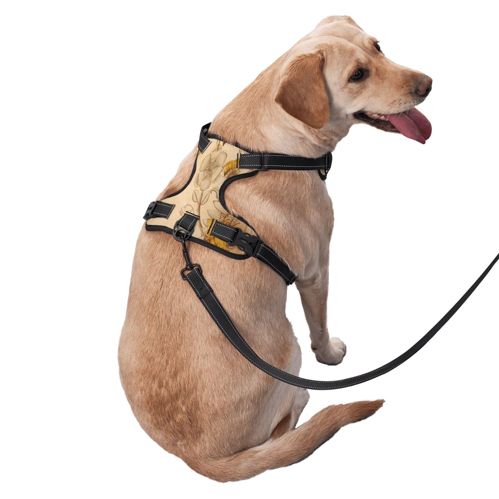 Fuzoiu Print Reflective Dog Harness,Adjustable, Breathable Pet Vest,Dog Harness No Pull,No Choke Pet Vest for Small, Medium, and Large Dogs-Small
