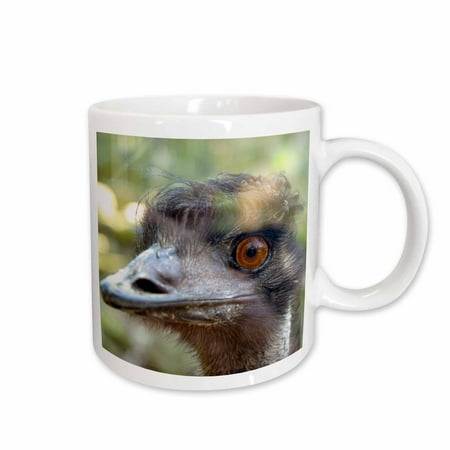 

3dRose Emus face Taronga Zoo Sydney NSW Australia.-AU01 IHO0000 - Inger Hogstrom Ceramic Mug 11-ounce