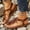 Brown, variant on Womens Flip Flops Solid Color Flower Decor Toe Post Women Sandals Flat Casual Beach Slippers Summer Sandals For Women Lightweight Footwear Beige US :7