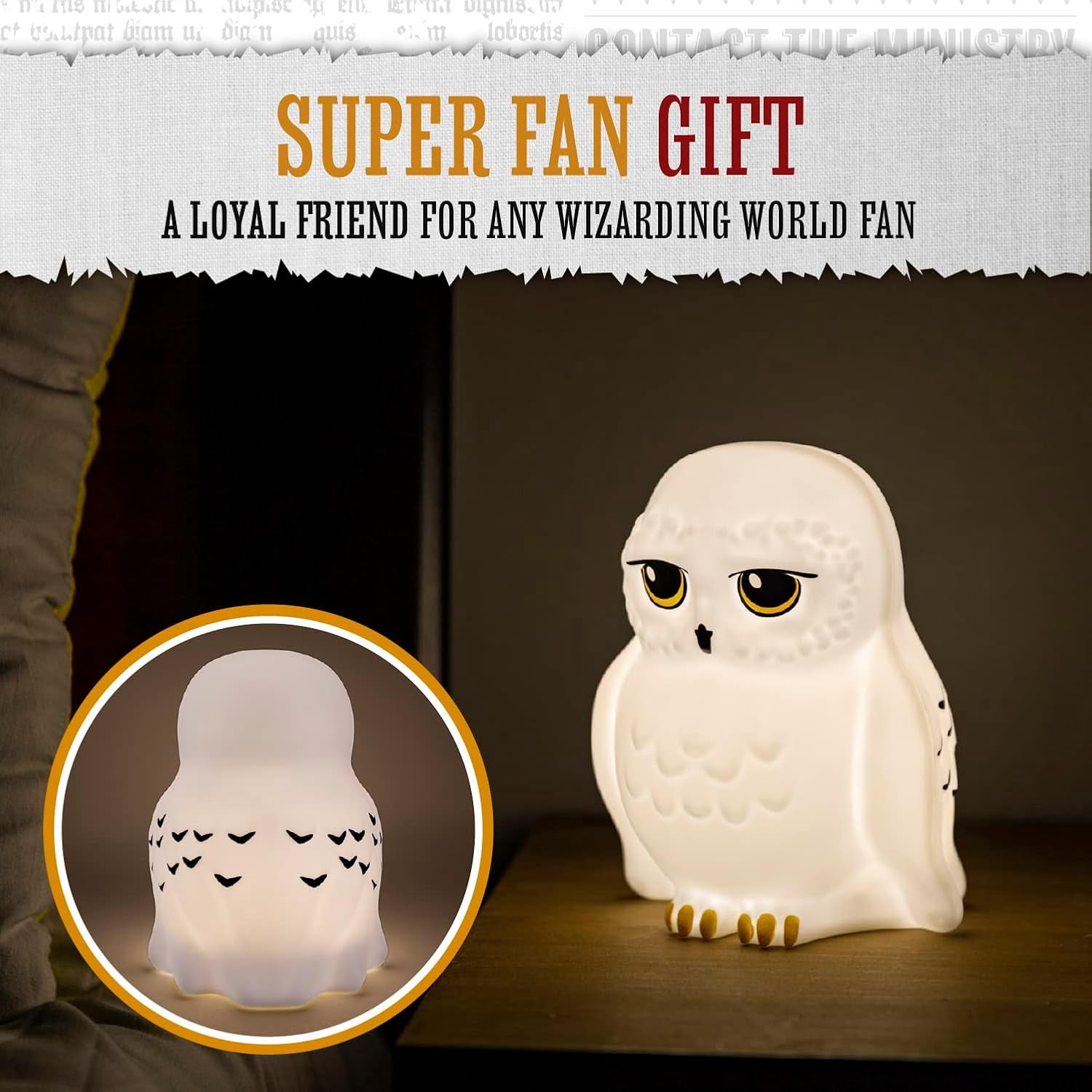Harry Potter Hedwig Night Light – Officially Licensed Harry Potter Decor Gift, Bedroom Portable Mood Light for Kids, Battery Powered | Paladone