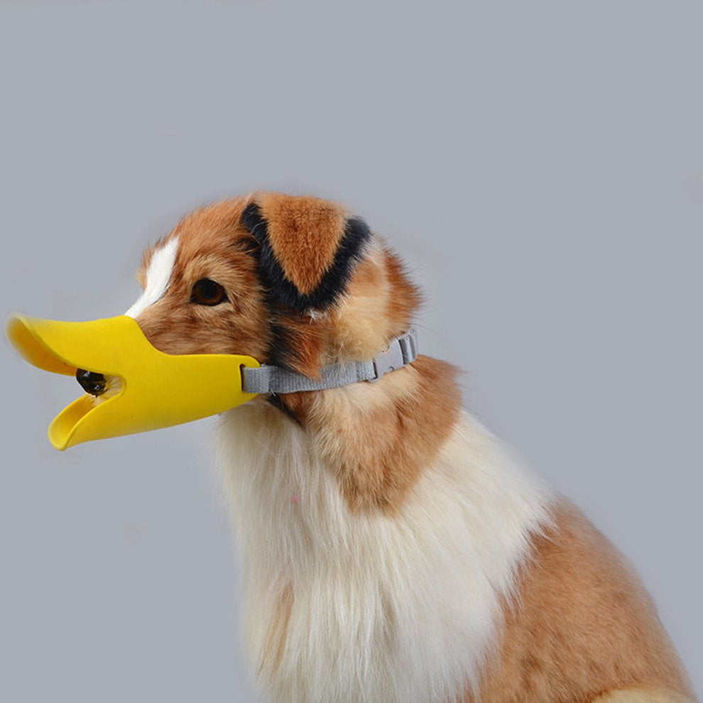 puppy muzzle to stop biting puppy muzzle to stop biting