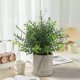 thumbnail image 5 of Plantas Verdes Artificiales, Plantas En Maceta De Imitaci N, Decoraci N Para El Hogar Y La Oficina, 30 Cm De Alto Resistente a Los Rayos Uv, Dise O Moderno, Para Oficinas, Casas Y, 5 of 7