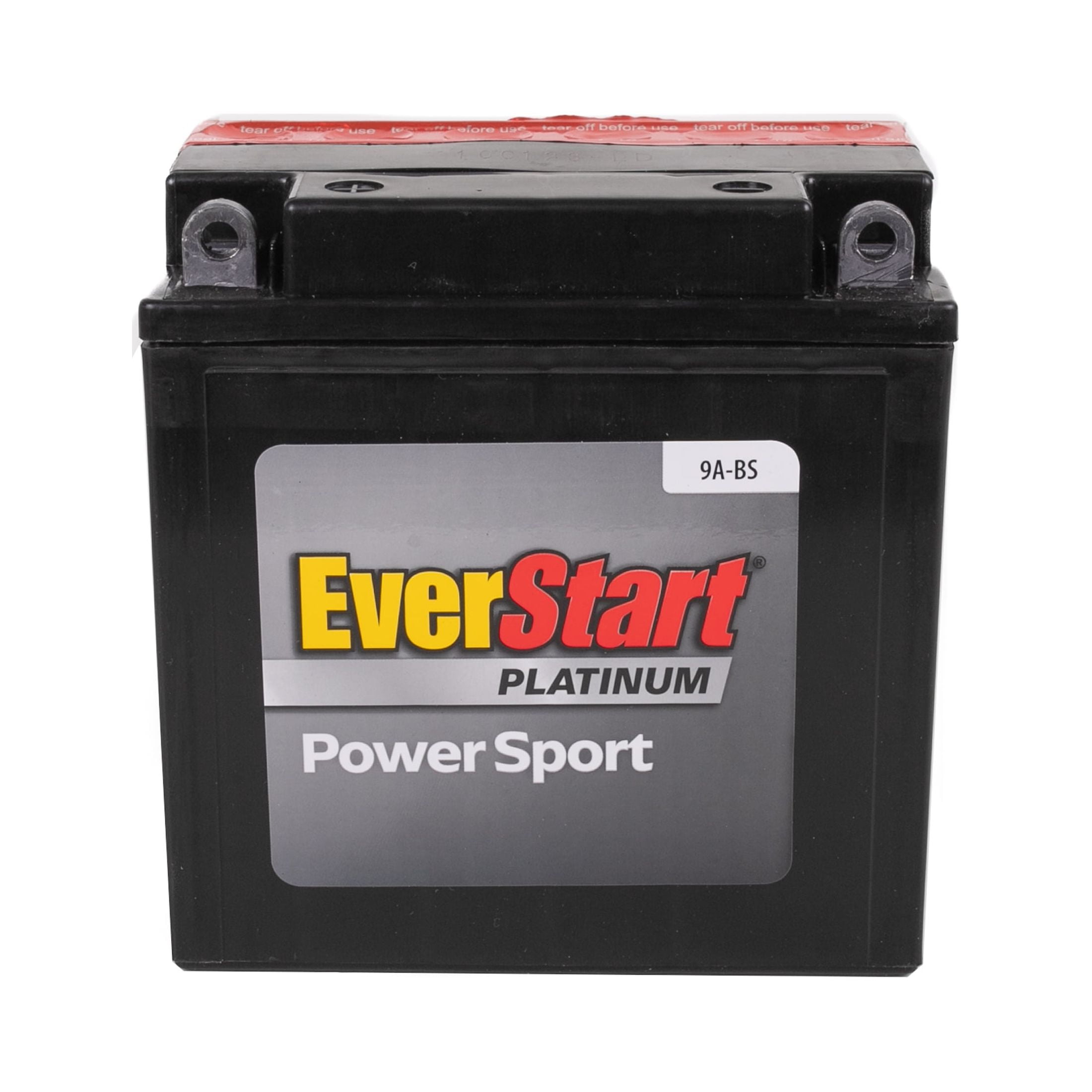 (2 pack) EverStart EB9A-BS AGM Dry PowerSport 12 Volt Battery