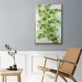 thumbnail image 5 of Ivy Framed Premium Gallery Wrapped Canvas - Ready to Hang, 5 of 9