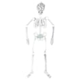thumbnail image 2 of Luminous Skeleton Skeleton Body Horror Halloween House Tricky Props Halloween House Courtyard Home Scene Tricky Horror Props, 2 of 5