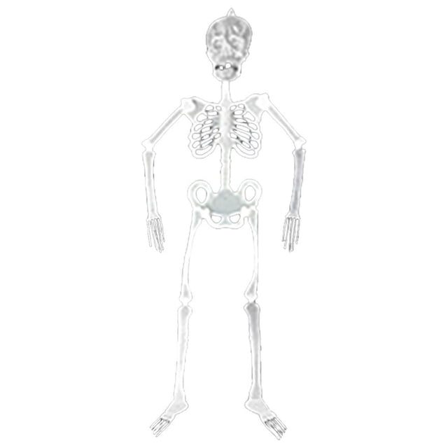 Squelette d'Halloween, Accessoire de Corps Squelette Lumineux - Décoration d'Halloween Réaliste, Os Humains Réalistes pour Décoration de Maison Hantée Intérieure Extérieure (32/90/150 cm)