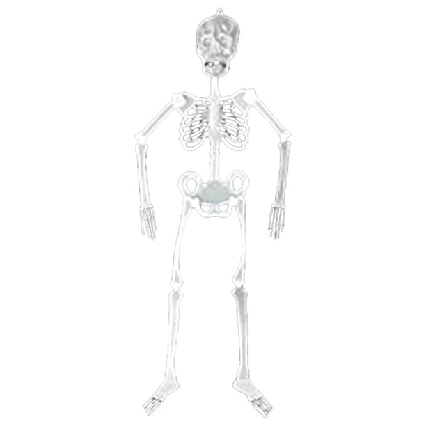 Esqueleto Luminoso Esqueleto Corporal Horror Halloween Casa Accesorios Divertidos Halloween Casa Patio Escena Doméstica Accesorios Divertidos De Terror