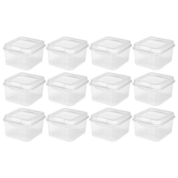 Hinged Lid Plastic Containers