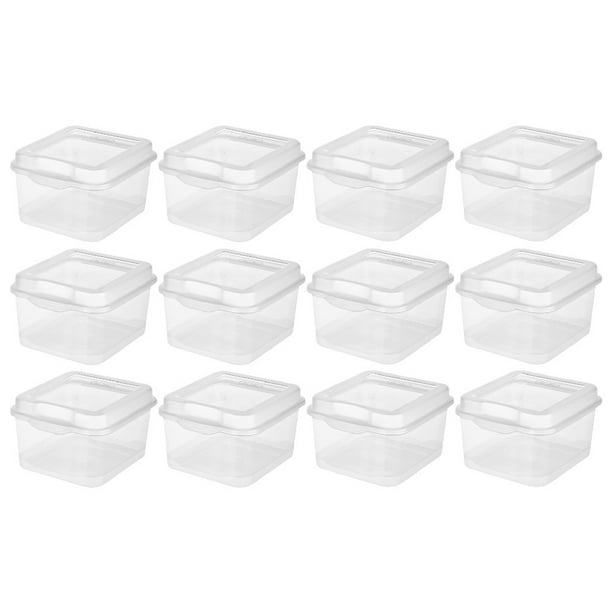 clear plastic containers with hinged lids