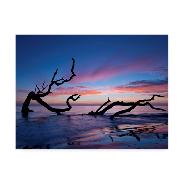 Trademark Fine Art 'Driftwood Beach' Canvas Art by PHBurchett Walmart