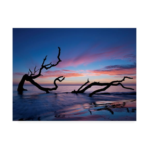 Trademark Fine Art 'Driftwood Beach' Canvas Art by PHBurchett