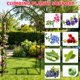 thumbnail image 3 of Enrejado de arco de jardín para plantas trepadoras, soporte de marco de flores, decoración de globos, árbol de arco para fiesta, soporte de plantas, 3 of 8