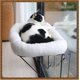 thumbnail image 2 of Percha de ventana para gatos Zakkart Hamaca de ventana 100% metal, 2 of 5