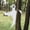 Smile, variant on Joyfy Halloween Tree Wrap Ghost Decoration, Cute Ghost Design Decorations for Halloween Outdoor, Lawn, Tree Decor, Ghost Party Supplies
