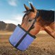 thumbnail image 4 of Bolsa de alimentación para caballos, bolsa de PVC de resistencia, alimentador de duradero, suministros para caballos de alimentació Colco bolsita de pienso para caballos, 4 of 8