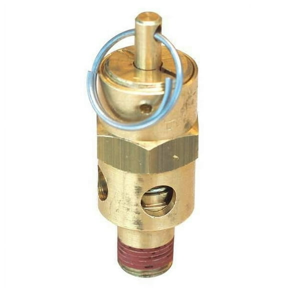 Guardian Equipment Pressure Relief Valve 400-017-3R