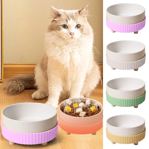 Ceramic Heated Cat & Dog Bowl | Constant Temperature Warm Water & Food Dispenser | Elevated Design Reduces Cervical Strain | Dishwasher Safe Winter Pet Feeding Bowl