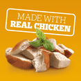 thumbnail image 3 of Pedigree Choice Cuts In Sauce Adult Wet Dog Food With Real Chicken, 3 of 14