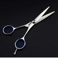 thumbnail image 3 of Hair Cutting Scissors 5.5 Inch Japanese Stainless Steel Ergonomic Barber Shears for Salon Use, 3 of 4