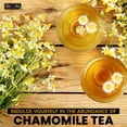 thumbnail image 3 of Tea4u Chamomile Herbal Infusion 25 Tea Bags| 30 Gram Net, 3 of 9