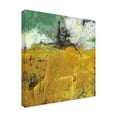 thumbnail image 2 of Linda Nickell 'Abundant' Canvas Art, 2 of 3