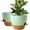 Green With Terracotta, variant on 10 inch Self Watering Planters, 2 Pack Large Plastic Plant Pots with Deep Reservior and High Drainage Holes for Indoor Outdoor Plants and Flowers, Speckled Grey