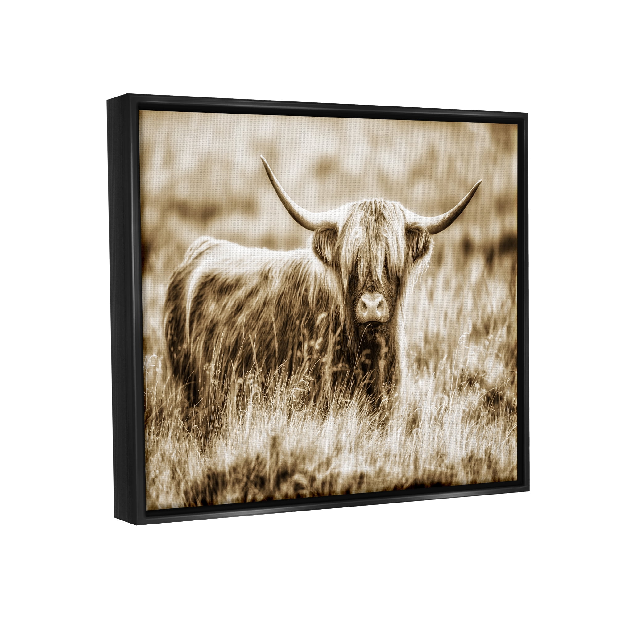 Stupell Industries Vintage Cow In Pasture Animal Photo Jet Black Framed Floating Canvas Wall Art, 24x30, by Villager Jim