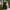 B82 Green Plus Size Summer Dresses Clearance Under $5, variant on Fashion Flash Deals Xqxayjr Wedding Guest Dress for Womens Summer Spring Casual Loose Crewneck Plus Size Sleeveless Empire Waist Flowy Midi Swing T-shirt Sun Dresses Boho White Formal Dresses
