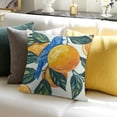 thumbnail image 3 of BANET Decorative Pillowcase Case for Boys Girls Fresh Fruit Throw Pillow Covers Summer Home Decor 24x24in, 3 of 5