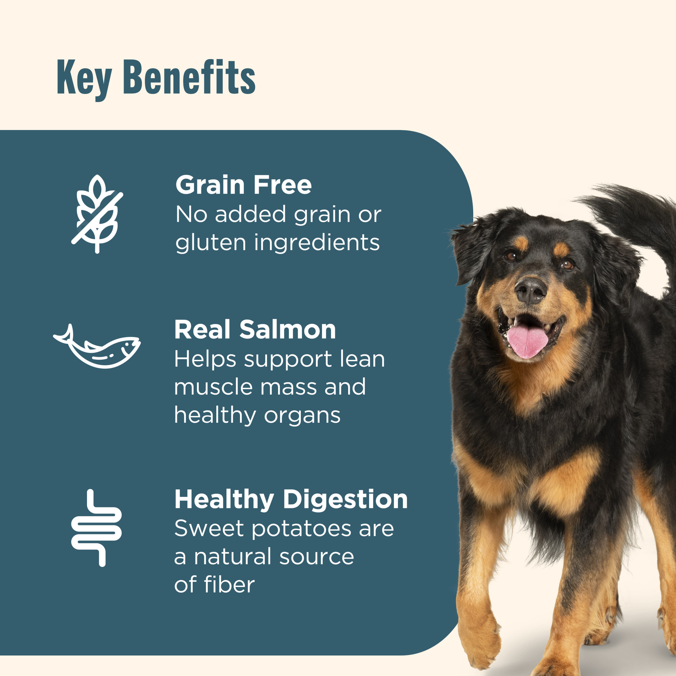 Nutrish Grain Free Salmon & Sweet Potato Recipe, 23 lb photo 3