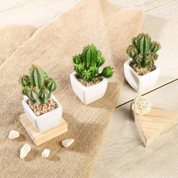 Efavormart Set of 3 | 5'' Assorted Cactus Artificial Faux Succulent Mini Green Plant In White Ceramic Pot