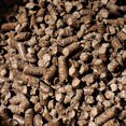 thumbnail image 5 of Bear Mountain Premium BBQ Woods 100 Percent All Natural Hardwood Hickory Pellets, Perfect for Pellet Smokers & Grills for Wood-Fired Flavor, 20 Lb Bag, 5 of 7