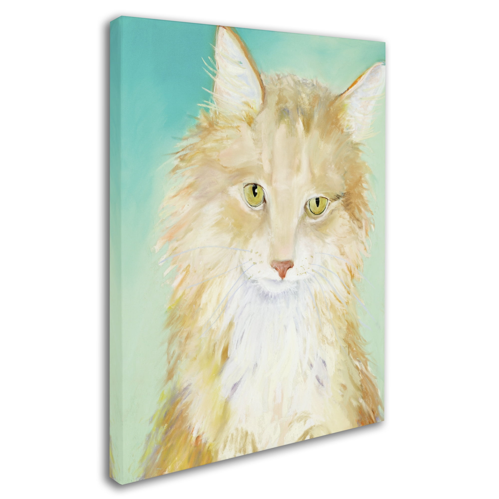 Trademark Fine Art "Willard" Canvas Art by Pat Saunders-White