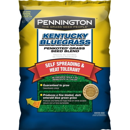 Pennington Grass Seed Kentucky Bluegrass, 7 lbs (Best Starter Grass Seed)