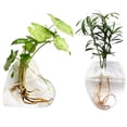 thumbnail image 1 of Coofit 2PCS Glass Vase Creative Wall Mounted Plant Terrarium Flower Vase Flower Pot, 1 of 4