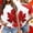 Red3, variant on Graphic Tees for Women Canadian Themed Graphic Tee for Women Casual Short Sleeve Crewneck Everyday Comfortable Patriotic Holiday Apparel for Daily Wear Blue XL