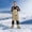 Khaki, variant on Frnrwgo Mens Womens Snow Bib Overalls Loose Fit Ski Snowboard Waterproof Breathable Warm Winter Outdoor Pants