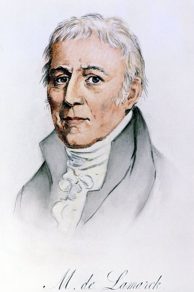 jean baptiste de langy jean baptiste de langy
