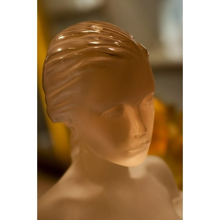 Lalique Glasses - Framed Art for Your Wall Face Beauty Lalique Glass Woman Crystal Head 10x13 Frame