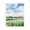 Spring Horizon Watercolor Landscape, variant on Stupell Industries Farmhouse Fresh Spring Morning Canvas Art, 16 x 20, by Lanie Loreth