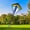 A, variant on Diamond Kite for Everyone, 31-Inch Colorful Easy to Fly Beginner Kite with Long Dual Tails for Beach, Park, and Backyard Outdoor Summer Games