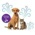 thumbnail image 6 of VacScents Vacuum Air Freshener Bars, French Vanilla, 2 Pack, 6 of 9