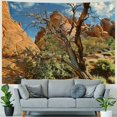 thumbnail image 4 of BCIIG Desert Landscape Rocks Tapestry Wall Hanging Unique Style Graphic Tapestries Home Wall Decor Art for Living Room Bedroom Dorm Farmhouse Apartment 60x50inch, 4 of 6