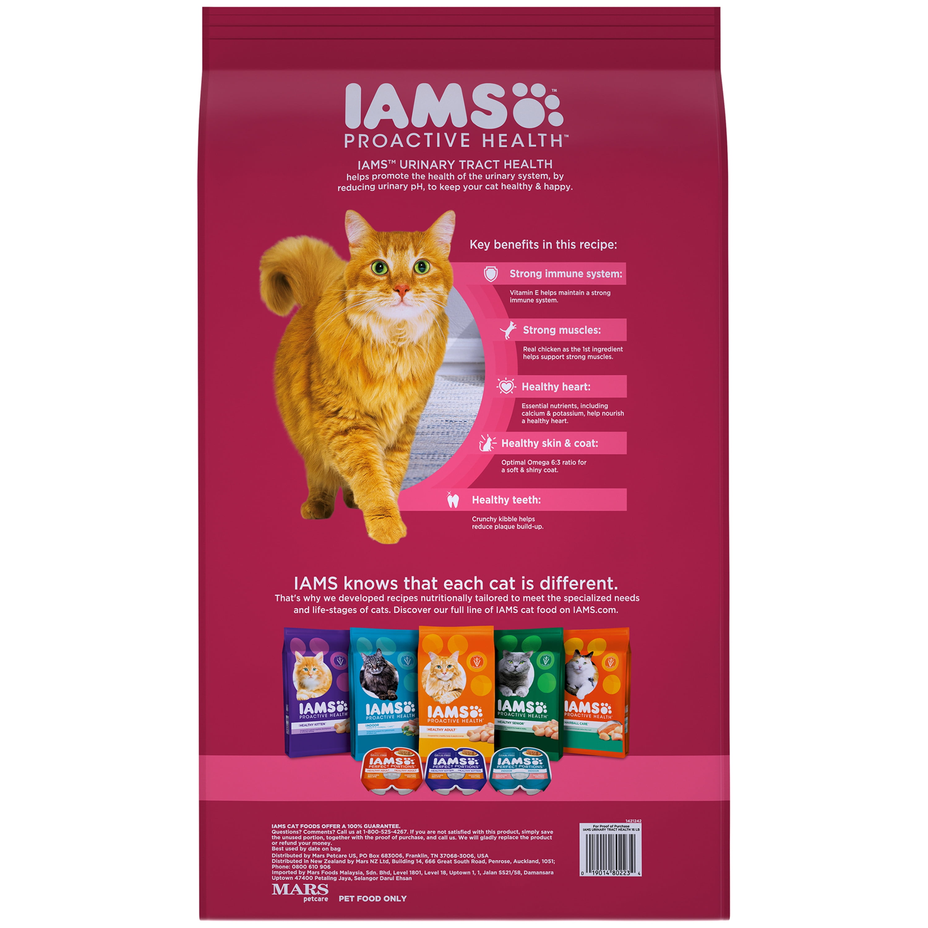 iams cat food walmart