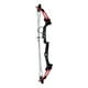 thumbnail image 3 of Arco De Poleas Profesional + 2 Flechas Arqueria Tiro Mendoza Mendoza MAR-016, 3 of 7